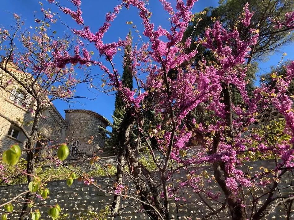 Domaine La Tour: Spa Retreat with Year-Round Heated Pool Nyons
